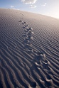 22_White Sands National Monument_06